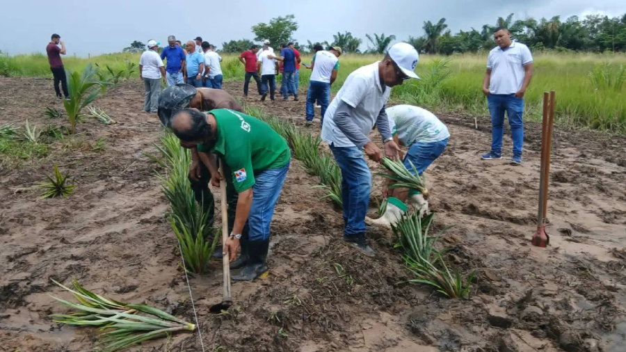 Emater instala 'Quintal Produtivo' para capacitar agricultores de todo o Pará 